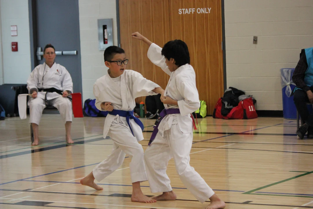 Dynamic Martial Arts Class in Markham